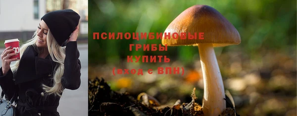 a pvp Михайлов